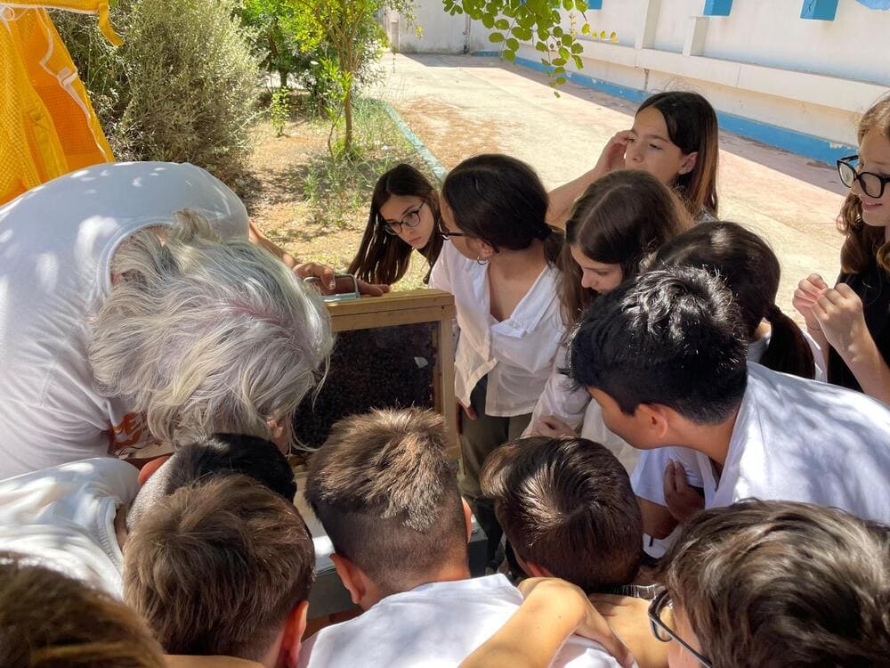 Laboratorio con le api